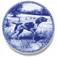 German Shorthaired Pointer